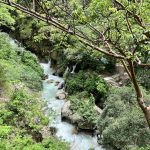 IMG_7627